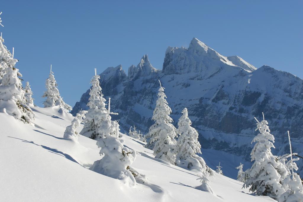 Hotel Des Alpes Champéry Екстериор снимка